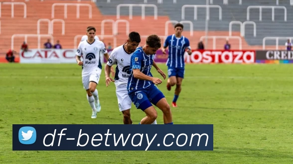 必威体育平台平台生态图